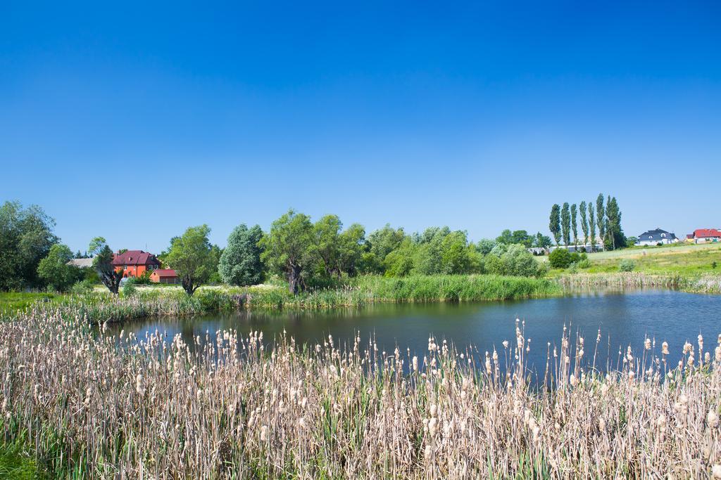 Borkowo  Zloty Staw B&B 외부 사진